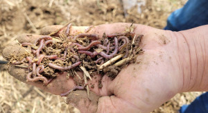 How should biodiversity be supported? A scientist from IUNG PIB advises