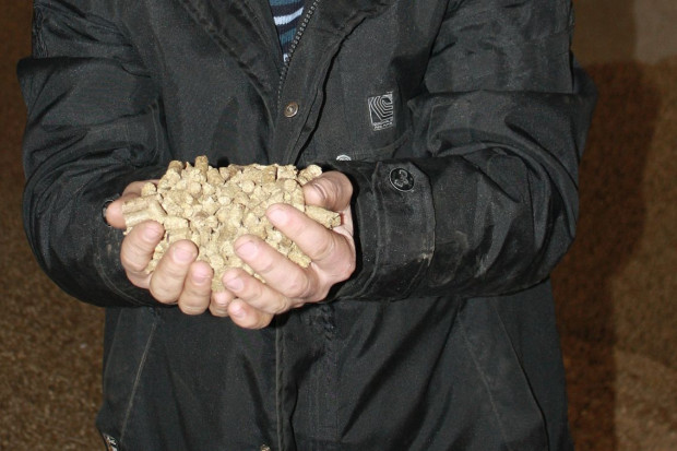 Nabywca nie doczekał się dostawy zamówionego pelletu, Foto: GT Oszukany przy zakupie pelletu. Stracił 7 tysięcy złotych!