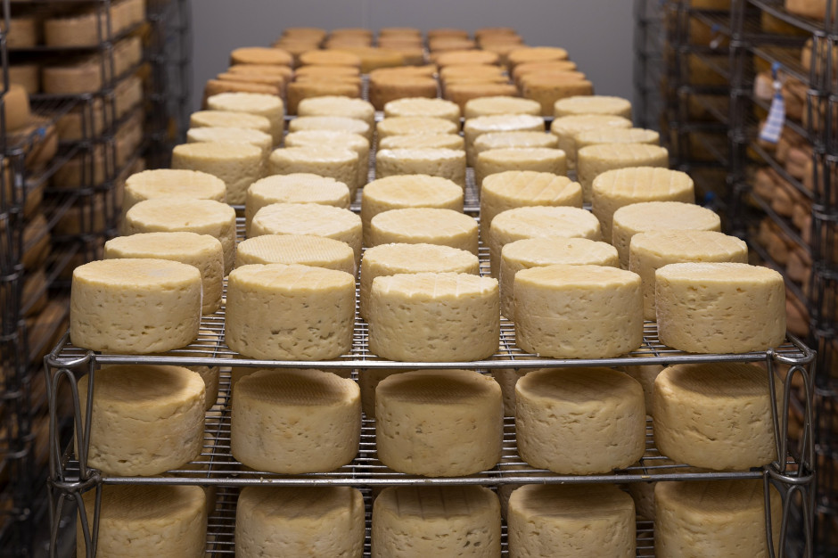 Chiński rynek sera jest dla polskich producentów bardzo obiecujący, fot. Anthony Arnaud z Pixabay