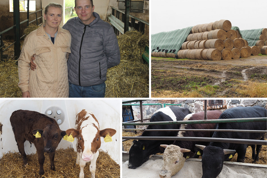 Innowacją w gospodarstwie Państwa Pleśnierowiczów jest niespotykany system żywienia bydła opasowego, fot. Farmer