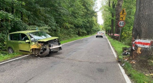 Pszczoła przyczyną kolizji drogowej