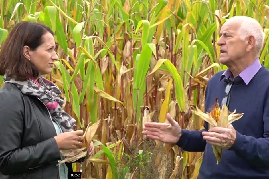 Tadeusz Szymańczak podsumowuje sytuację w zakresie kosztów uprawy kukurydzy. fot Farmer