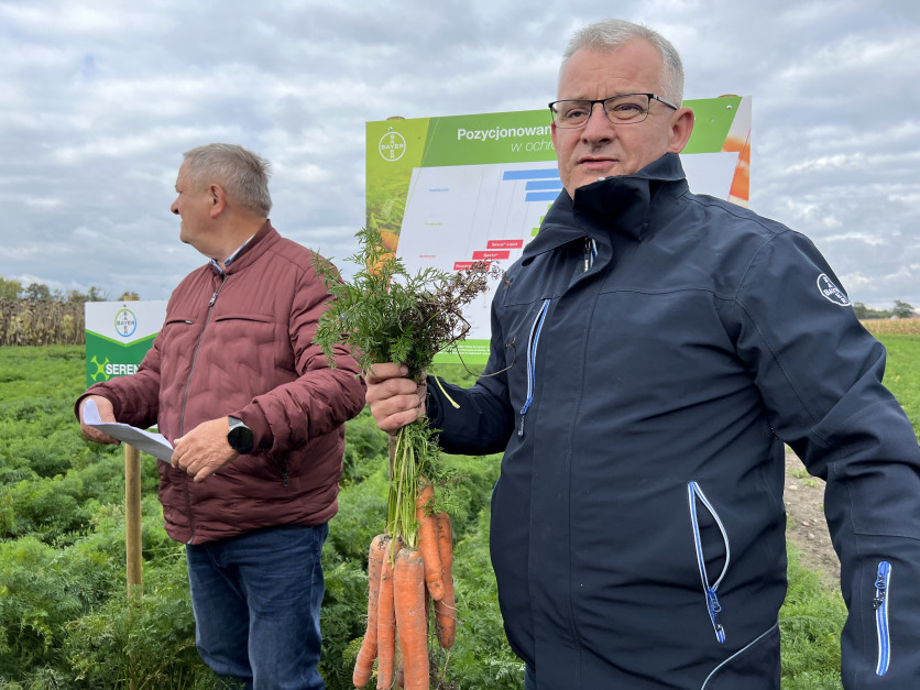 Zakres ochrony warzyw omówi w Bedlnie Radosław Suchorzewski, Bayer Crop Science Fot. AK