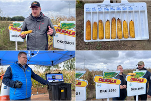 Nowe odmiany kukurydzy Dekalb, start e-sklepu Bayer w Polsce oraz nowy wymiar zaprawiania kukurydzy