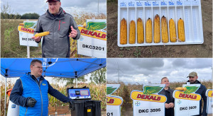 Nowe odmiany kukurydzy Dekalb, start e-sklepu Bayer oraz nowy wymiar zaprawiania kukurydzy