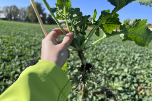 NWwR 2022: Czy biostymulatory mogą wspomagać optymalne nawożenie a także ochronę roślin?