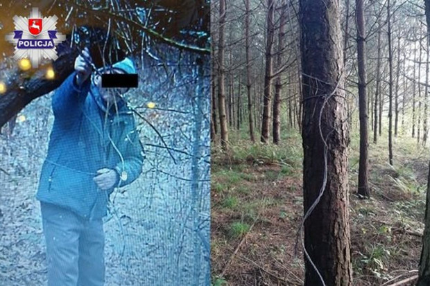 Fotopułapka w lesie "złapała" kłusownika