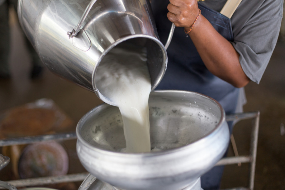 Do najbardziej energochłonnych branż sektora należy zaliczyć m.in. niektóre działy produkcji mleczarskiej (produkcja proszków mlecznych), fot. Shutterstock