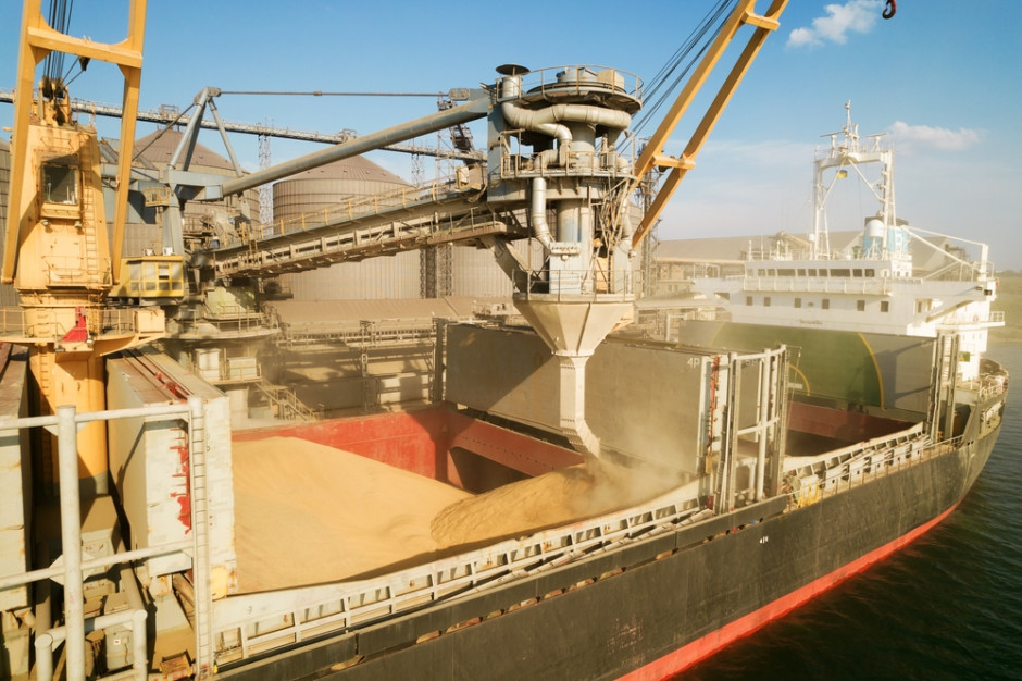 W 2023 r. Rosja zamierza wyeksportować 25,5 mln ton zbóż; Fot Shutterstock
