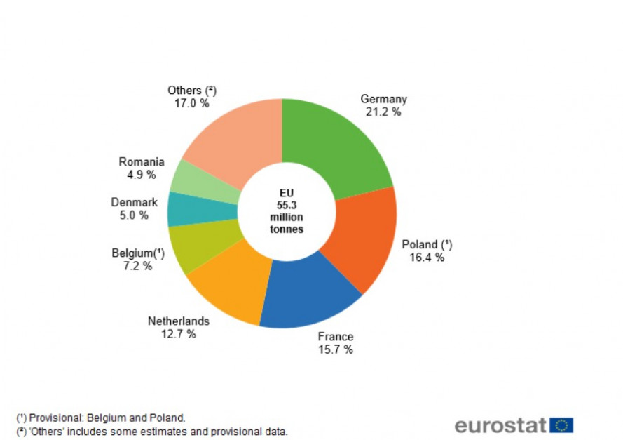 Produkcja ziemniaków, w tym sadzeniaków, przez główne państwa członkowskie, 2020. źródło: Eurostat