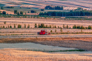 Sejm za ustawą dotyczącą nadzwyczajnego wsparcia dla rolników