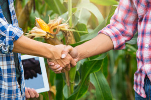 Rolnicy chcą przystępować do systemu jakości