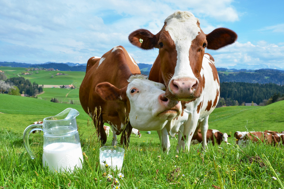 Moda na mleko prosto od krowy przybyła na powrót do Europy ze Stanów Zjednoczonych, Fot. Adobe Stock