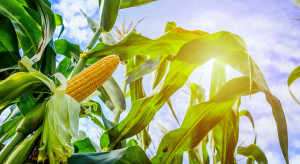 Zakwaszanie gnojowicy - sposób na ograniczenie strat azotu