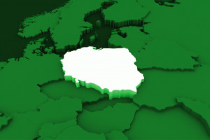 Rośnie sprzedaż polskiego drobiu na rynki w Afryce i Azji.