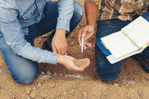 MRiRW: Wzrosną wydatki na doradztwo rolnicze