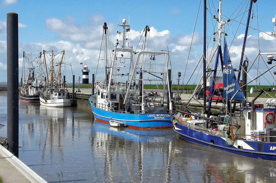 Środki skierowane są dla podmiotów w sektorach: rybołówstwa; akwakultury; rybołówstwa śródlądowego oraz przetwórstwa ryb, fot. Pixabay