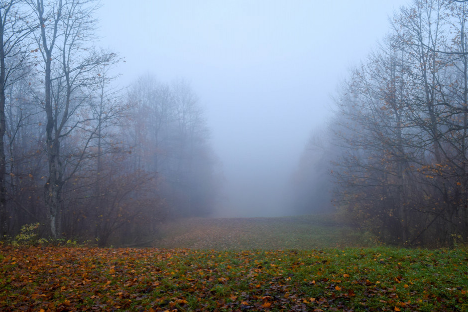 Pogoda zmienia się na bardziej jesienną fot. Shutterstock