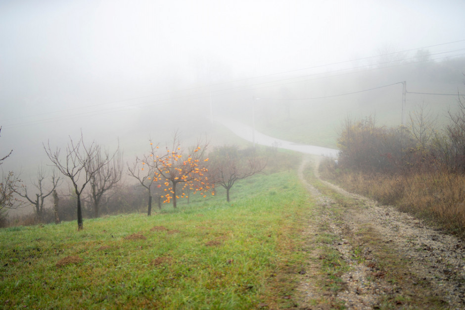 W najbliższe dni pogodę zdominują chmury i mgły; Fot. farmer.pl