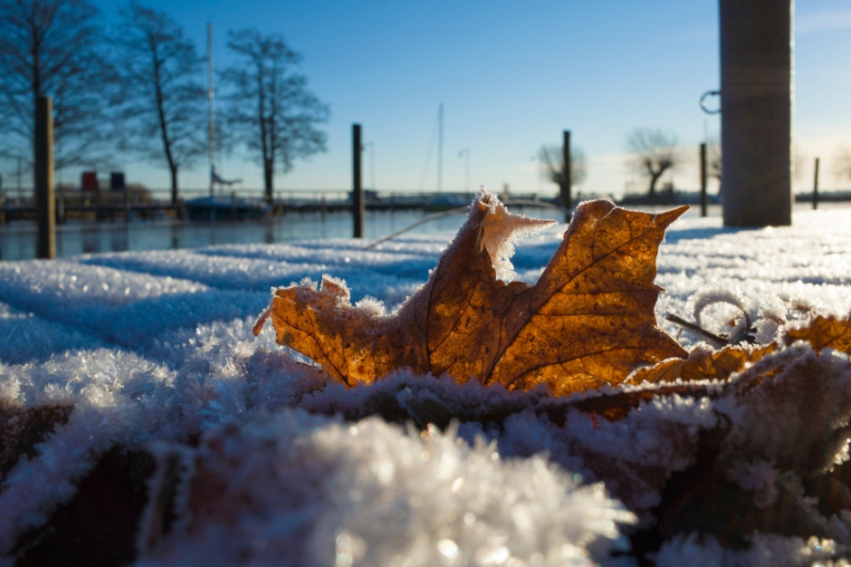 Od środy w centrum kraju nastąpi znaczne ocieplenie Fot.Shutterstock
