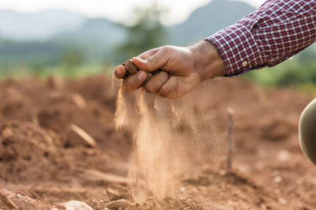 Argentyna: Uporczywa susza spowoduje "największy w historii kraju" spadek eksportu zbóż