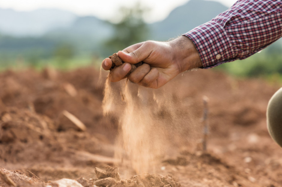 Argentyński ekspert ocenia, że wpływy jego kraju z eksportu zbóż, będą w bieżącym roku o 15 do 20 miliardów dolarów mniejsze od ubiegłorocznych, fot. Shutterstock