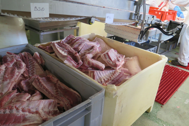Sieci handlowe kierują się ceną, nie dopłacą do mięsa bez GMO