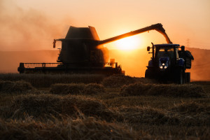 Mieszany tydzień notowań zbóż na światowych giełdach