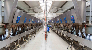 Inwestycje w hodowlę bydła należy prowadzić ostrożnie