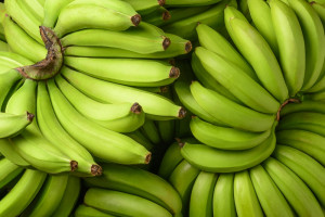 We Włoszech coraz częściej uprawia się banany, mango i awokado