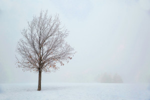 IMGW ostrzega przed intensywnymi opadami śniegu na Podlasiu
