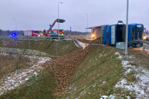 Wywróciła się ciężarówka, wysypały się buraki