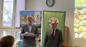 PZPK: 100 tys. ha kukurydzy w Polsce nieskoszone przez załamanie rynku. Pismo do KE w sprawie ukraińskiej kukurydzy