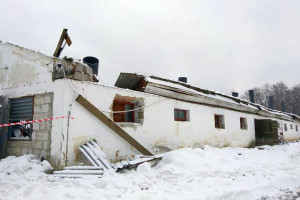 Podkarpackie: Zawalił się dach budynku gospodarczego, zginęły zwierzęta