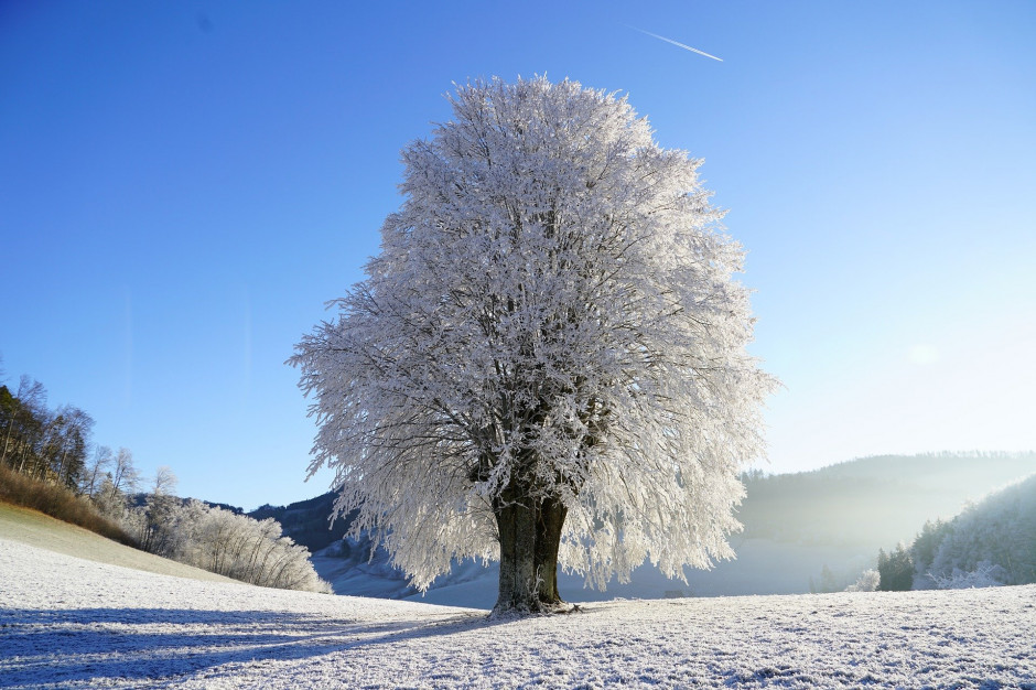Zima powoli zacznie odpuszczać, fot. pixabay