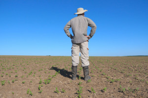 Sejmowa komisja: Fundusz Ochrony Rolnictwa jest oczekiwany przez rolników