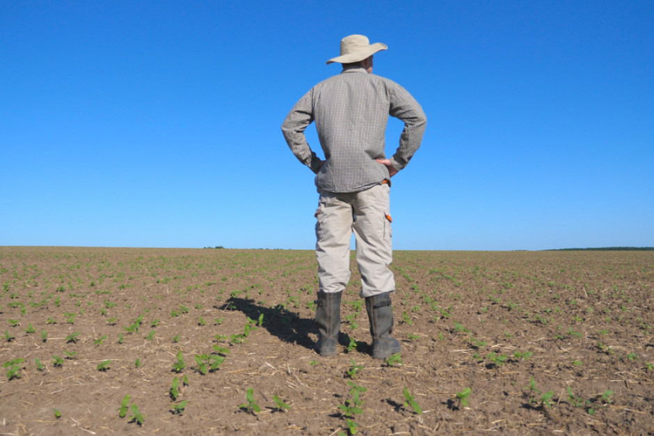 Jak zgodnie z projektem ustawy ma działać Fundusz Ochrony Rolnictwa? fot. Shutterstock