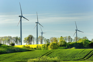 Belgia: Rekordowa produkcja energii wiatrowej obniżyła znaczenie ceny energii elektrycznej