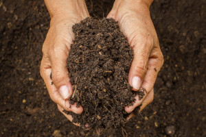 Stan gleb w krajach UE nie jest dobry. Komisja wezwała rolników do lepszej ochrony gleby