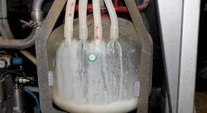 Spadek produkcji mleka może ustabilizować jego ceny