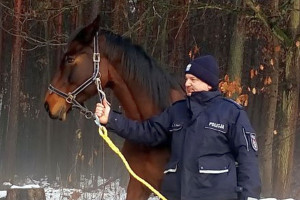 Spłoszony koń uciekł do lasu. Odnaleźli go policjanci