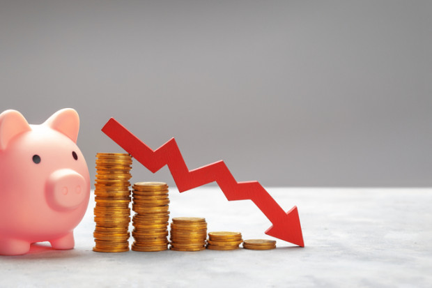 Rok 2022 przyniósł pogłębienie kryzysu na rynku trzody, fot. Shutterstock WIR: Od wielu miesięcy do każdego tucznika hodowcy dokładali przynajmniej 100 zł