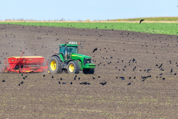 Ukraina: spodziewane są zmiany w strukturze powierzchni upraw podczas wiosennych zasiewów; fot. MVolodymyr/Shutterstock.com Ukraina rozszerzy obszary uprawy roślin oleistych w 2023 r.