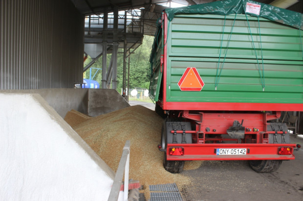 MRiRW: Kowalczyk o rynku zbóż dobrostanie i zwierząt z organizacjami rolniczymi