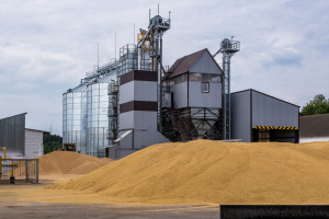 Kowalczyk: Na ceny zbóż w Polsce nie wpływa ukraińskie zboże, a sytuacja na światowym rynku