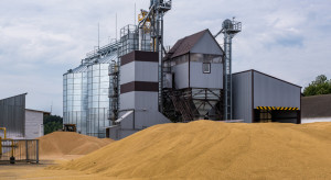 Kowalczyk: Na ceny zbóż w Polsce nie wpływa ukraińskie zboże, a sytuacja na światowym rynku