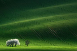 Konkurs fotograficzny. Do wygrania stacja pogodowa