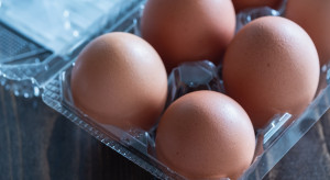 Kryzys na rynku jaj. Potencjał produkcyjny kurczy się w kraju i na świecie
