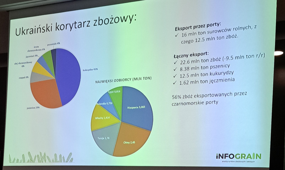 Źródło: InfoGrain