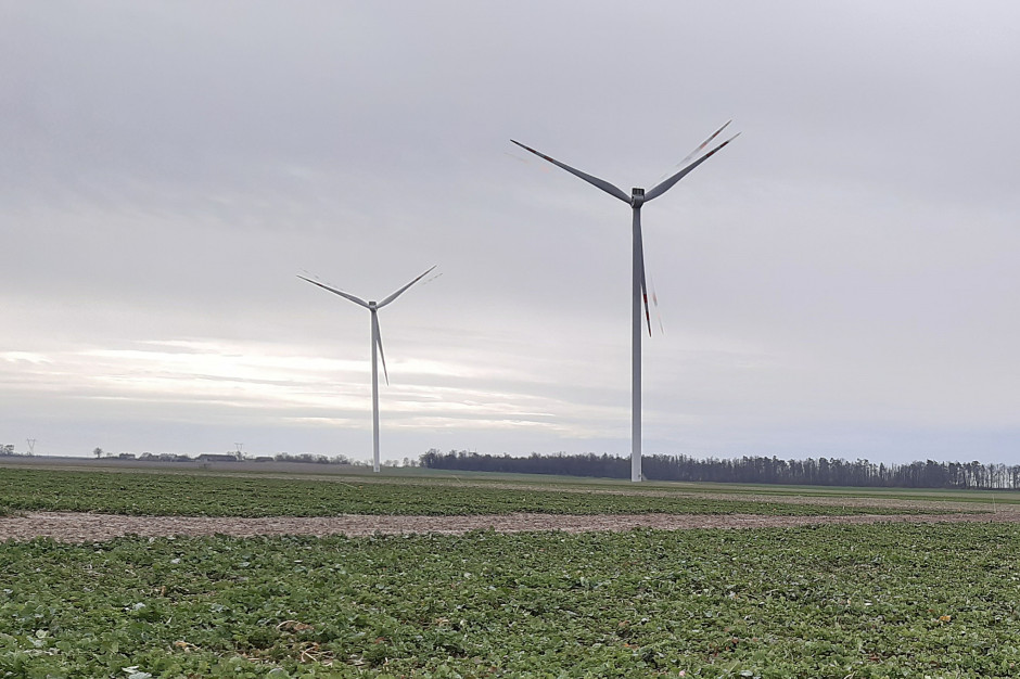 Nowa ustawa wiatrakowa ma odblokować energetykę wiatrową w Polsce w dobie kryzysu energetycznego; Fot. AK